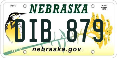 NE license plate DIB879