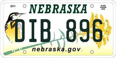 NE license plate DIB896