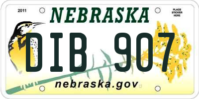 NE license plate DIB907
