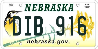 NE license plate DIB916