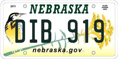 NE license plate DIB919