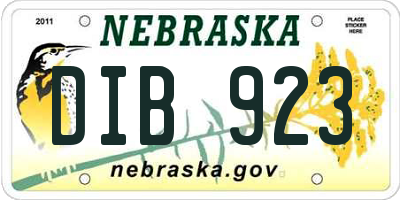 NE license plate DIB923