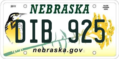 NE license plate DIB925