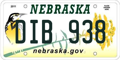 NE license plate DIB938