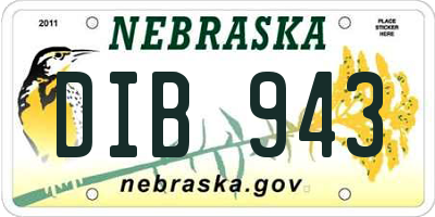 NE license plate DIB943