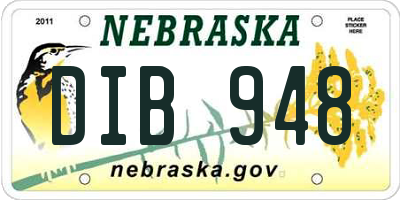 NE license plate DIB948