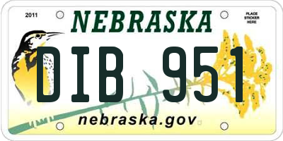 NE license plate DIB951