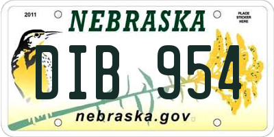 NE license plate DIB954