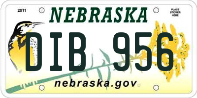 NE license plate DIB956