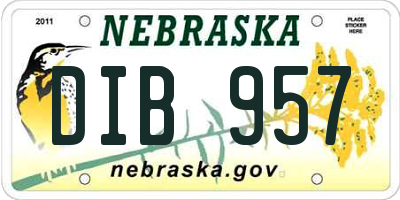 NE license plate DIB957