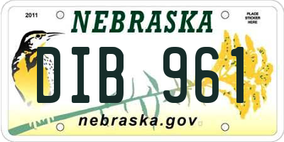 NE license plate DIB961