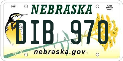 NE license plate DIB970