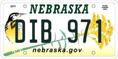 NE license plate DIB971