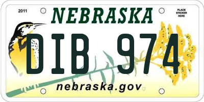 NE license plate DIB974