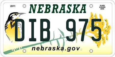 NE license plate DIB975