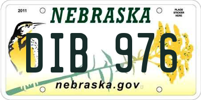 NE license plate DIB976