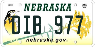 NE license plate DIB977