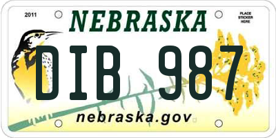 NE license plate DIB987