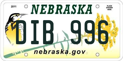 NE license plate DIB996