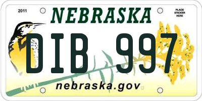 NE license plate DIB997