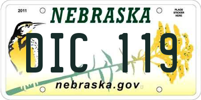 NE license plate DIC119