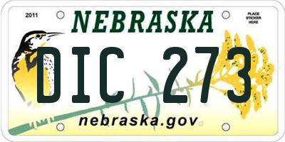 NE license plate DIC273