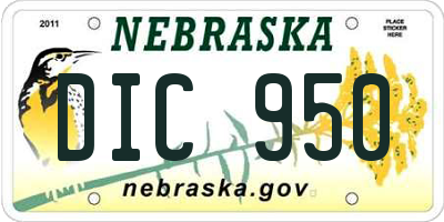 NE license plate DIC950