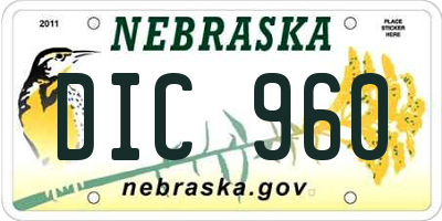 NE license plate DIC960