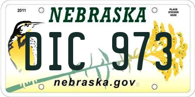 NE license plate DIC973
