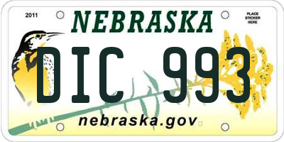 NE license plate DIC993