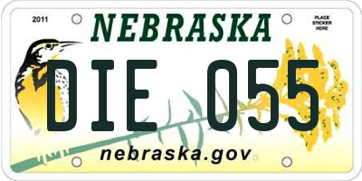 NE license plate DIE055
