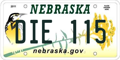 NE license plate DIE115