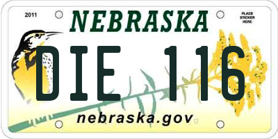 NE license plate DIE116