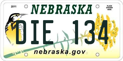NE license plate DIE134