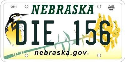NE license plate DIE156
