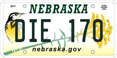 NE license plate DIE170