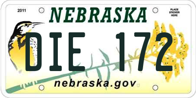 NE license plate DIE172