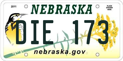 NE license plate DIE173