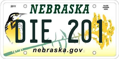 NE license plate DIE201