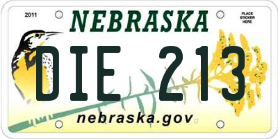 NE license plate DIE213