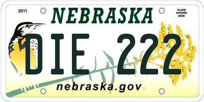 NE license plate DIE222