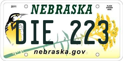 NE license plate DIE223