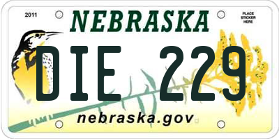 NE license plate DIE229