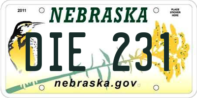 NE license plate DIE231