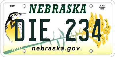 NE license plate DIE234