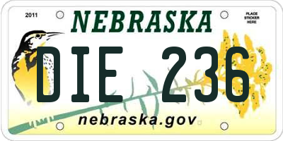 NE license plate DIE236