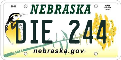 NE license plate DIE244