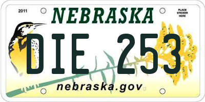 NE license plate DIE253