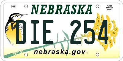 NE license plate DIE254
