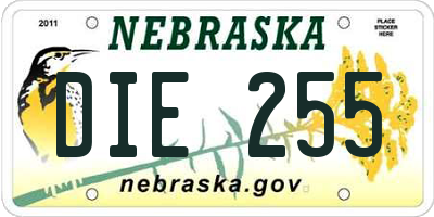 NE license plate DIE255